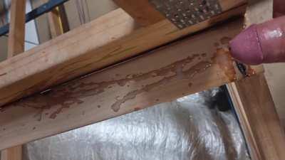 What would you do if a tradesman blew his load In your roofspace?