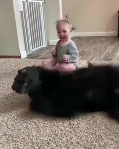 That upside down lick!