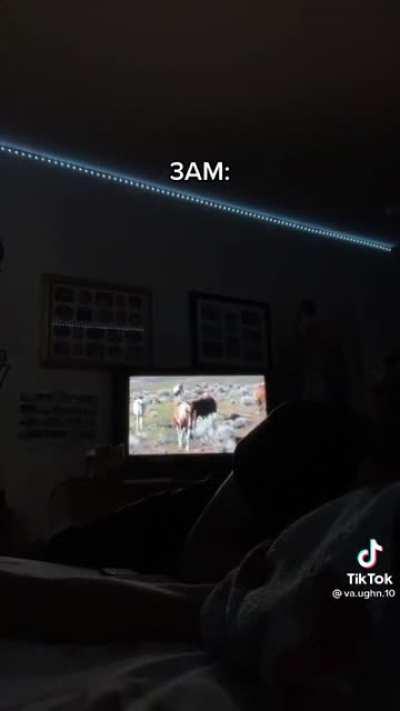 Probably just my immature humour but holy sh!t did this make me laugh