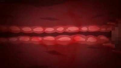 Hatsufuji Akari from Yarichin kateikyoushi netori houkoku