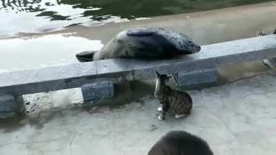 What did I do to deserve this?