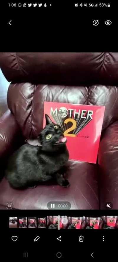 Iâm new here. Is this wunky?