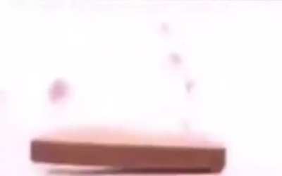 protendo chiken 💪