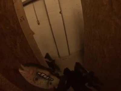 Le fishe strikes again