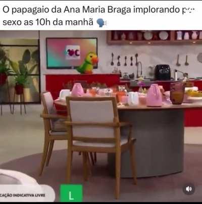 O QUE? 👀 🦜 🍆 💥