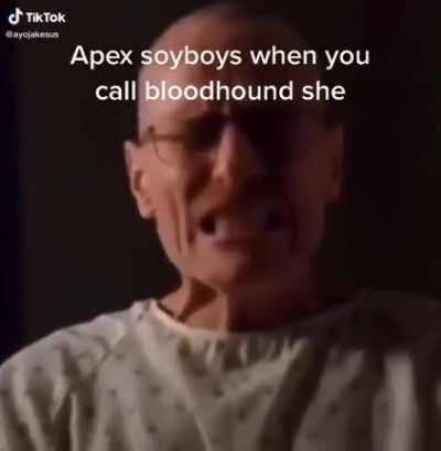 Escrivo en español Porque aqui las palabras tienen genero i bloodhound es muy bella