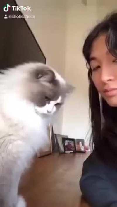 They are also in bad mood sometimes