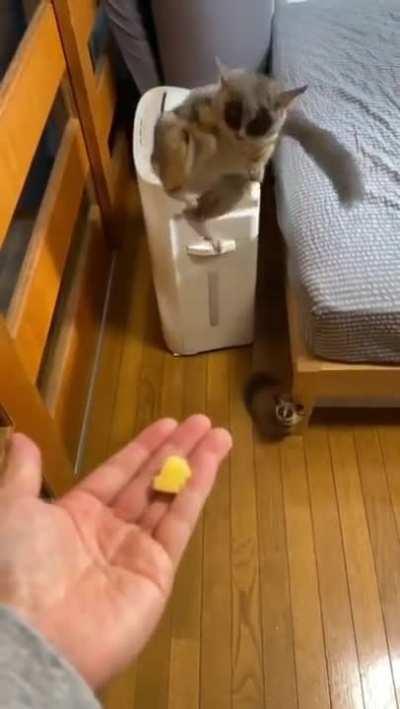 The cutest jump ever.