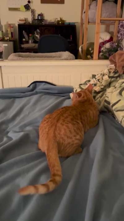 Greebles always strikes at midnight