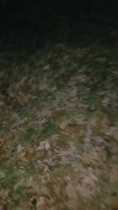 JoJo Part 4 episode 48 ending