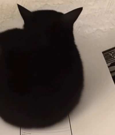 owwww owwndhdxb,,., 😢😢💔💔❤️‍🩹