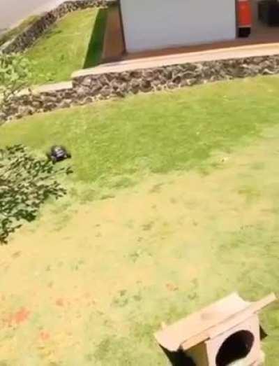 Amazing RC maneuvering