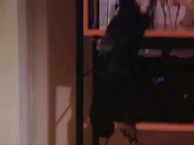 Anyone else surprised with how much they like this song? I don't like this type of rap at all and yet this absolutely slaps