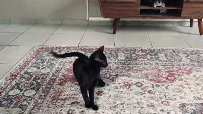 After a covert session of rummaging through the storage cupboard, my little void comes back with a sticker attached to his tail. I saved him before he got too dizzy!