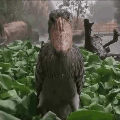 “and also, can I ask you a questio-“