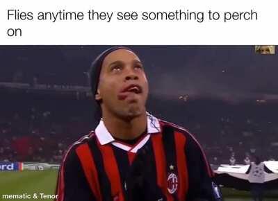 Mmmm, tasty looking.....