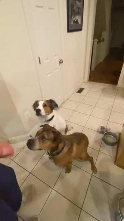 Who’s your brother?