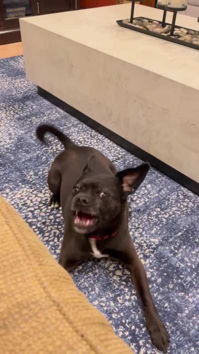 Marty expressing his dislike for the paparazzi