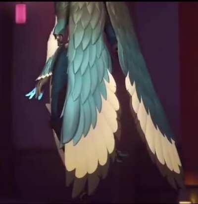 New Echo Skin (Kkachi) and highlight intro