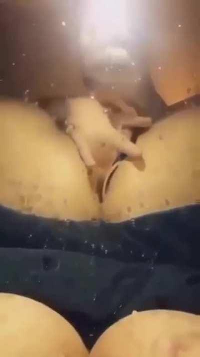 i got more r/poly_baddest2