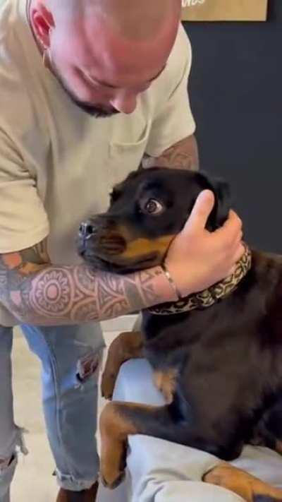 This reaction explains a lot