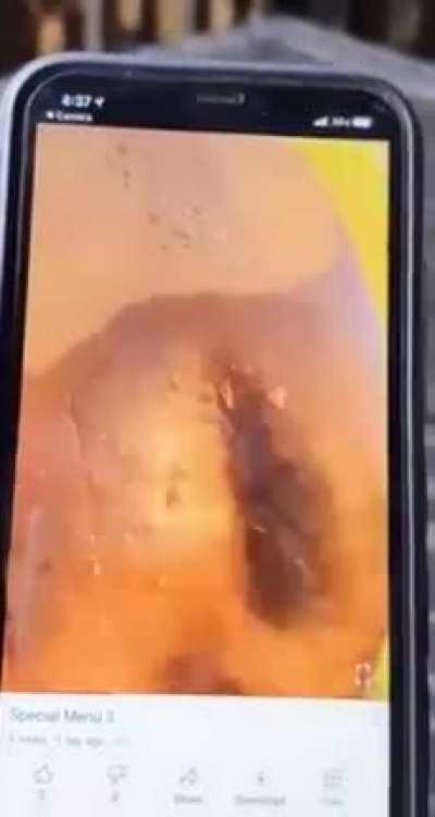 And you open it QR-code ?