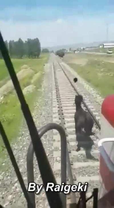 Лошадку жалко..