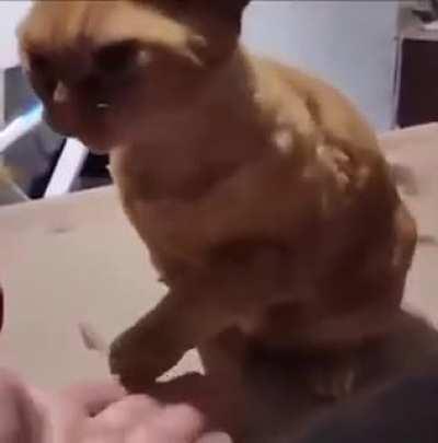 AAAAAAAAAAAAAAAAAAAAAAAAAAAAAA