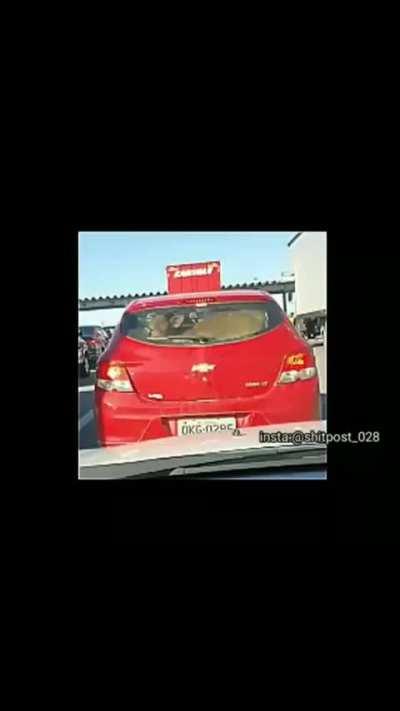 Olha a vaca 🐄🐮🚘🚗