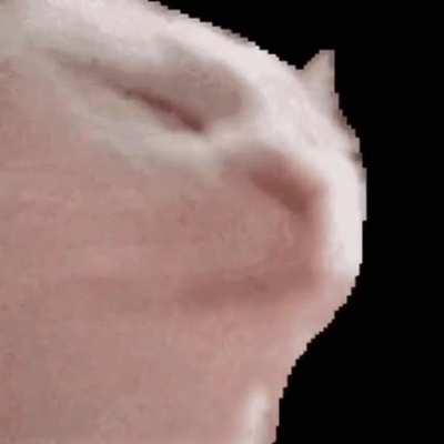 Before anything crazy, let us take a minute and 45 seconds of our time to appreciate TJ Hill's masterpiece