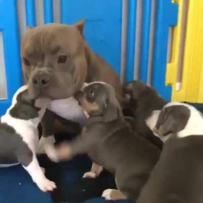 When you're the only sober person at a party