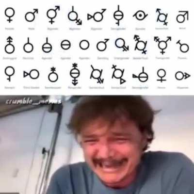 Como llegamos a esto :(