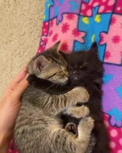 shhhhhhhh !!!!!!!!!!!!!!