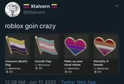 Roblox gone insane