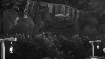 I am new and here is my first post in this community