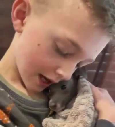 A boy calms down a frightened puppy. ❤️
