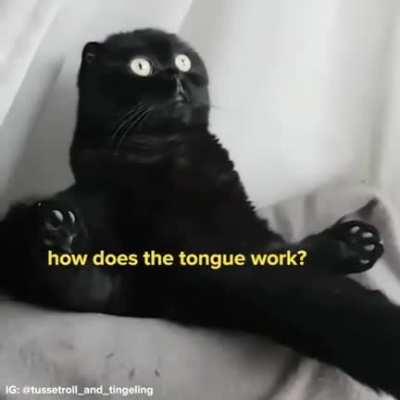 He is going through existential crisis