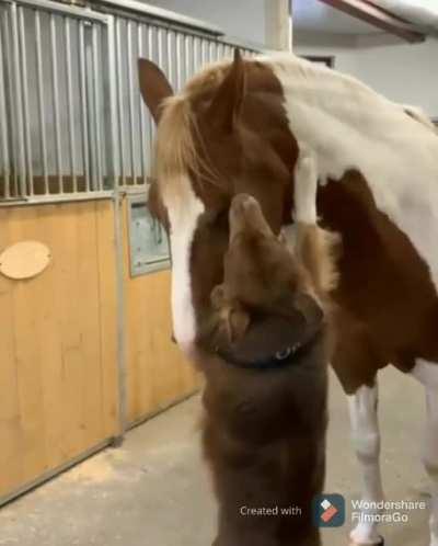 Hey, he looks just like me!