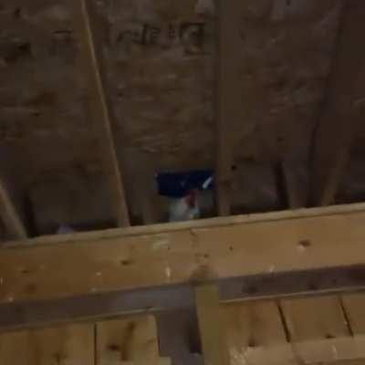 POV: you are attacking kraber god with grenate