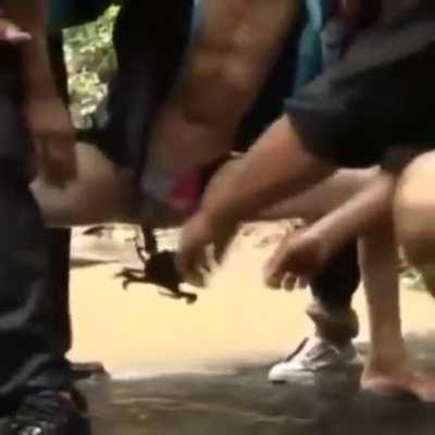 Как в Тайланде делают их знаменитых членодевок.