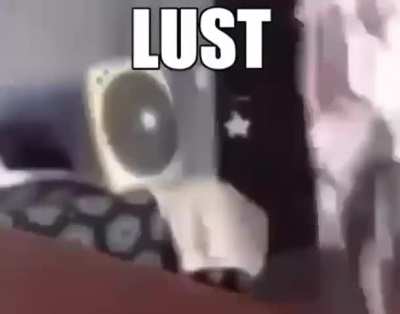 Some of yall need to chill