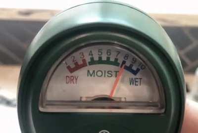 MRW Something gets me excited