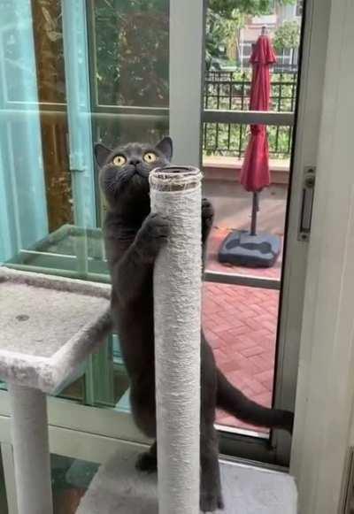 Just look his face..he is scared a lot