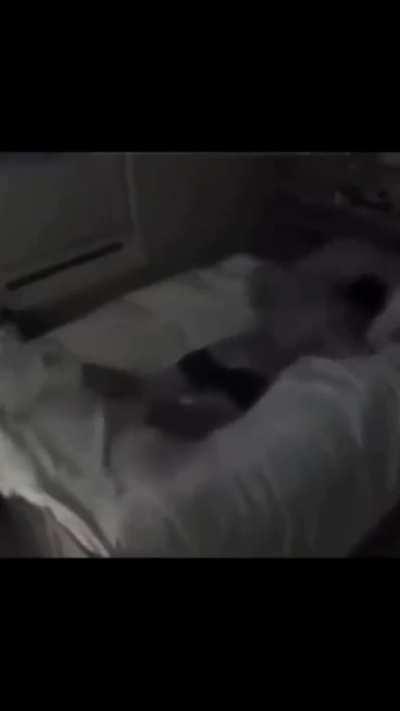 The most scariest video