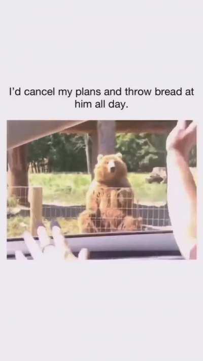 What a nice catch ! Dude