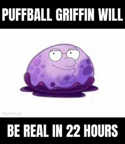 OH SHIT OH FUCK PACK YOUR STUFF