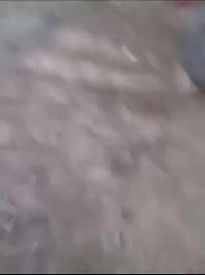 Hold some kind of chaos value