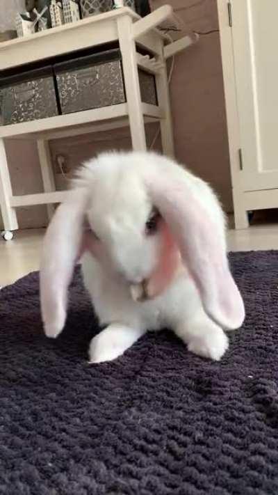 “Scrub scrub scrub... oh, hi mom.”