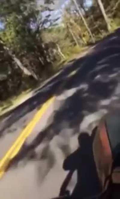 Idk why I wanna know this