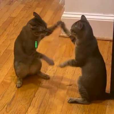 Credit to Tik Tok Klrdubs